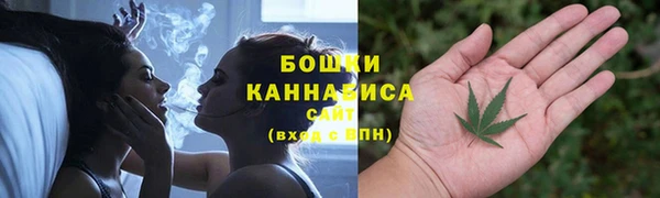 не бодяженный Гусиноозёрск