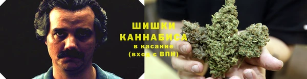 экстази Гусь-Хрустальный